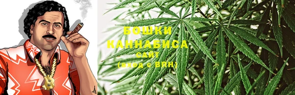PSILOCYBIN Мегион