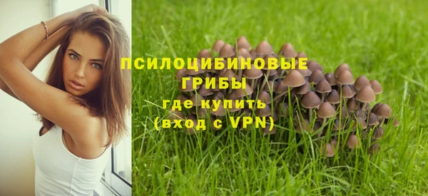 мяу мяу мука Медвежьегорск