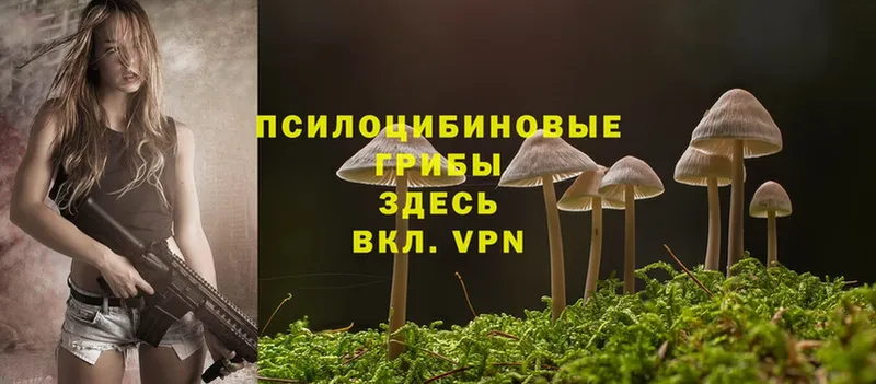 продажа наркотиков  мориарти клад  Псилоцибиновые грибы MAGIC MUSHROOMS  Новошахтинск 