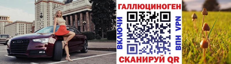 Галлюциногенные грибы Psilocybine cubensis Новошахтинск
