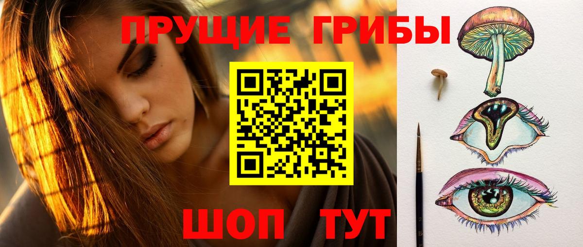 Галлюциногенные грибы GOLDEN TEACHER  Новошахтинск  Псилоцибиновые грибы GOLDEN TEACHER 