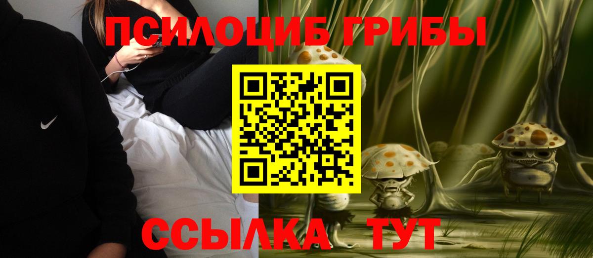 Псилоцибиновые грибы Magic Shrooms  наркота  Вход с VPN  Новошахтинск  Галлюциногенные грибы ЛСД 